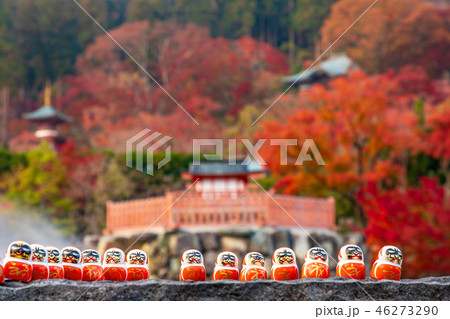 紅葉　勝尾寺 46273290