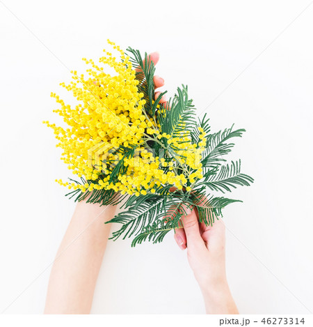 Woman hold in hands bouquet of yellow flower Woman hold in hands bouquet of yellow flower 46273314