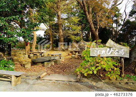 鎌倉　葛原岡神社　こもれび広場 46273376