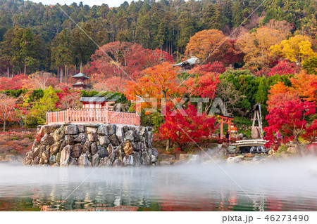 弁天堂と池の紅葉 弁天堂と池の紅葉 46273490