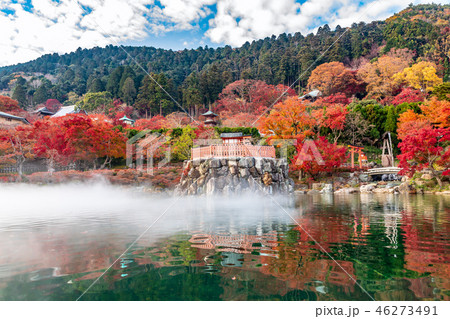 弁天堂と池の紅葉 弁天堂と池の紅葉 46273491