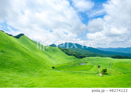 夏の曽爾高原 46274122