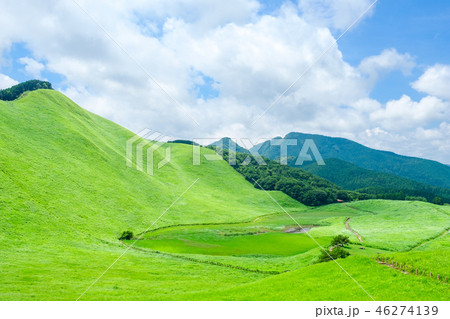 夏の曽爾高原 46274139