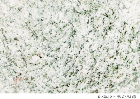 Green grass covered with snow Green grass covered with snow 46274239