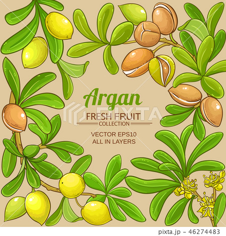 argan vector frame 46274483