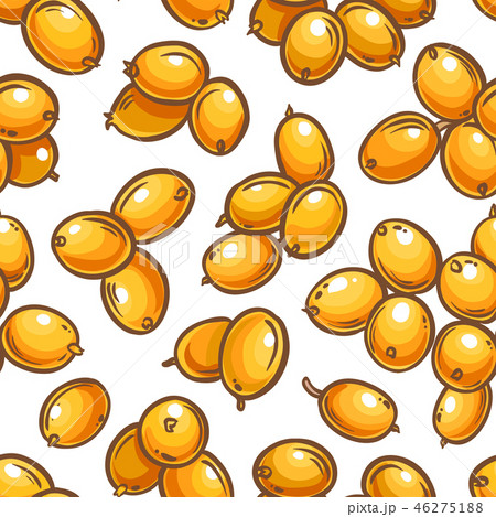 sea buckthorn berries vector pattern 46275188