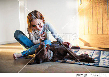 A young woman sitting indoors on the floor at home, playing with a dog. A young woman sitting indoors on the floor at home, playing with a dog. 46275889