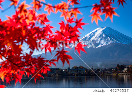 山梨県 日本の秋 富士山と紅葉の写真素材