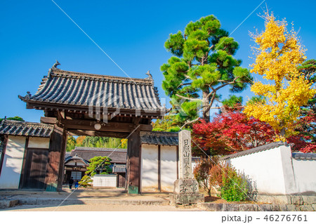 日照山国分寺の山門 46276761