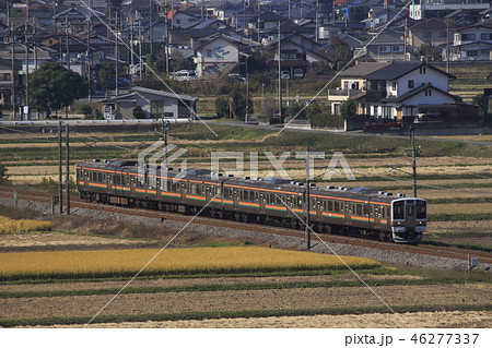 田園地帯を行く信越本線211系（4両編成：高崎⇔横川） 46277337