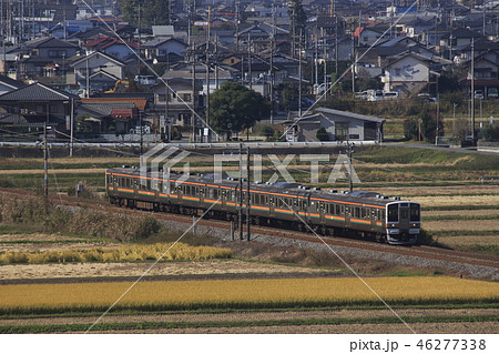田園地帯を行く信越本線211系（4両編成：高崎⇔横川） 46277338