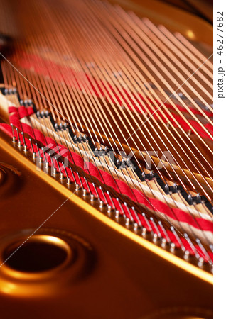 グランドピアノ　弦　 46277682