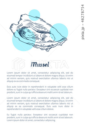 Mussel Marine Creature Hand Drawn Poster with Text 46278754