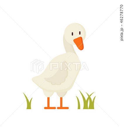 White Goose Standing on Grass Cartoon Style Poster White Goose Standing on Grass Cartoon Style Poster 46278770