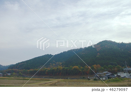 八木城址 46279097