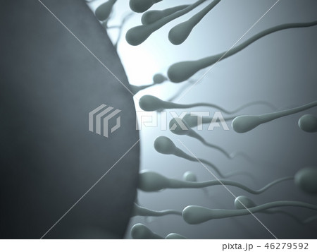Sperm Meets Egg 46279592