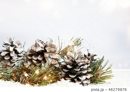 Christmas background with pinecones and fir tree Christmas background with pinecones and fir tree 46279876
