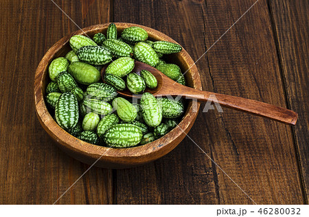 Melothria scabra, mouse melon, miniature mexican Melothria scabra, mouse melon, miniature mexican 46280032