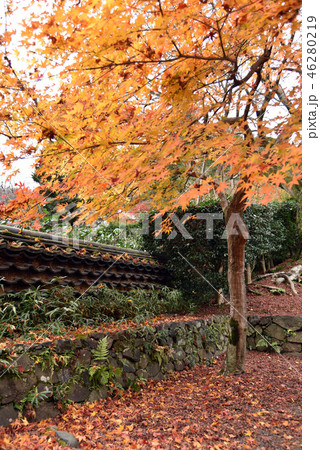 秋の安楽寺 46280219