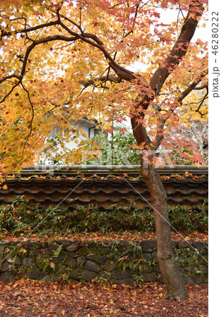 秋の安楽寺 46280222