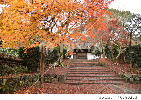 秋の安楽寺 46280223