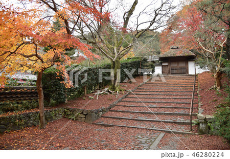秋の安楽寺 秋の安楽寺 46280224