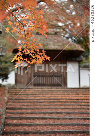 秋の安楽寺 秋の安楽寺 46280226
