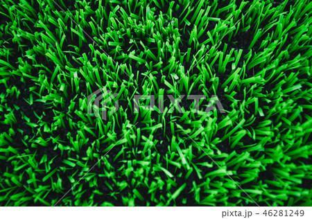 Artificial grass at the football field. 46281249