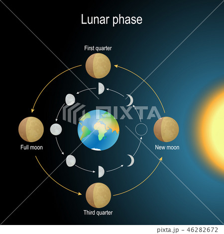 lunar phase. phase of the Moon lunar phase. phase of the Moon 46282672