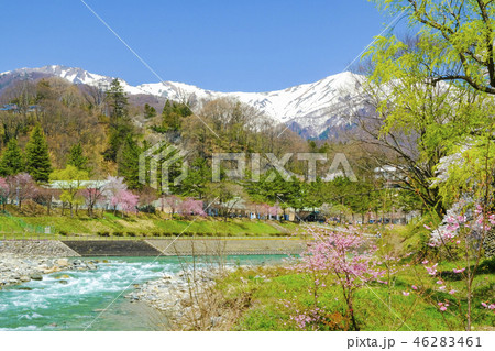 春の諏訪峡１ 46283461