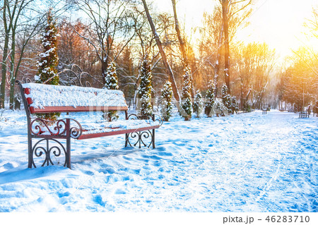 Park bench and trees covered by heavy snow. Park bench and trees covered by heavy snow. 46283710