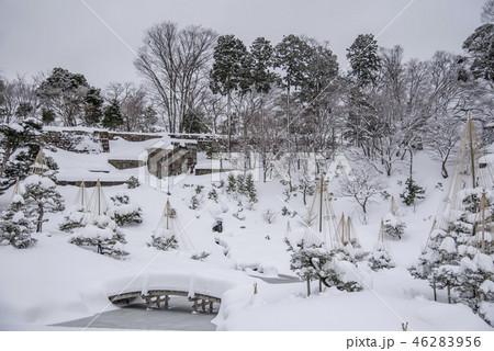 【玉泉院丸庭園　雪吊り】 46283956