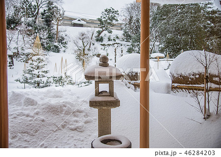 【玉泉院丸庭園　雪吊り】 46284203