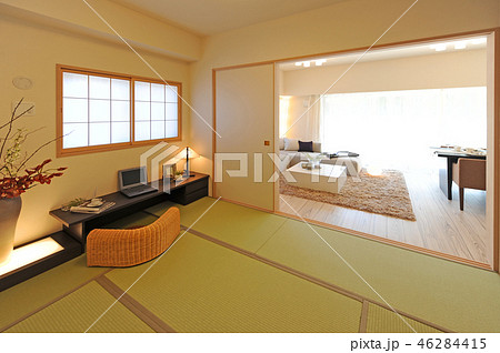 和室 住宅 内観 和室 住宅 内観 46284415