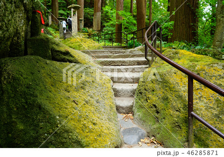 立石寺　紅葉 46285871