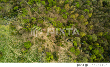 Aerial view of rural area with fields and forests. 46287402