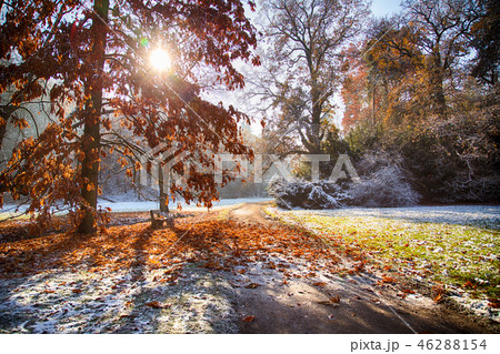 Autumn forest. Beautiful rural scenery. Autumn forest. Beautiful rural scenery. 46288154