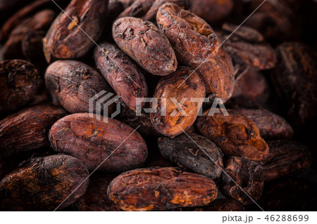 Pattern of the cocoa beans background Pattern of the cocoa beans background 46288699