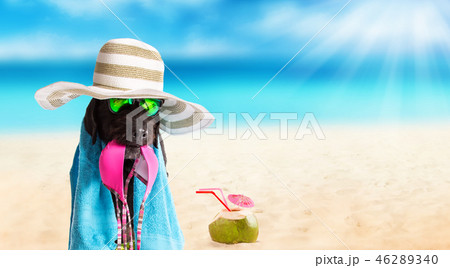Funny summer black dog with summer accessories. Funny summer black dog with summer accessories. 46289340