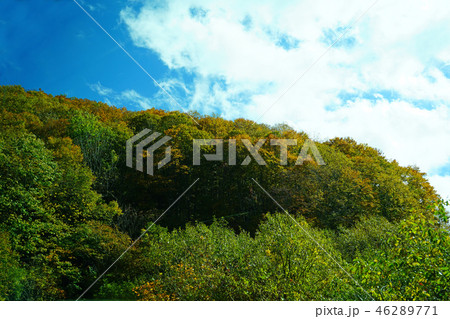 西吾妻スカイバレー 紅葉 西吾妻スカイバレー 紅葉 46289771