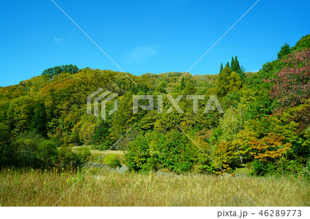 西吾妻スカイバレー 紅葉 西吾妻スカイバレー 紅葉 46289773