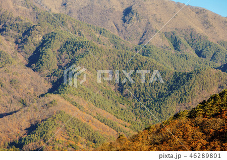 Autumn Fuji Kawaguchiko mountain foliage Autumn Fuji Kawaguchiko mountain foliage 46289801