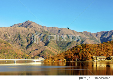Autumn Fuji Kawaguchiko mountain foliage Autumn Fuji Kawaguchiko mountain foliage 46289802