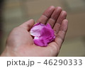 手のひらの花びら 46290333