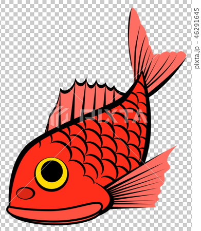 鯛魚 鯛魚 46291645