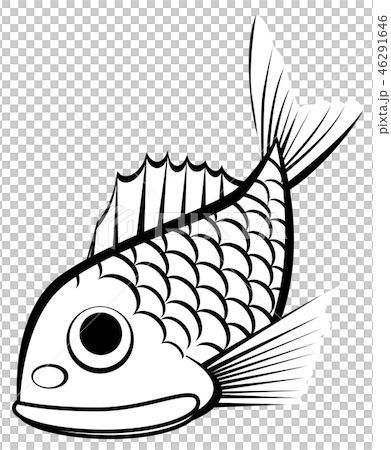 鯛魚 鯛魚 46291646