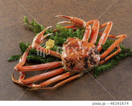 越前がに　タグ付き 46291674