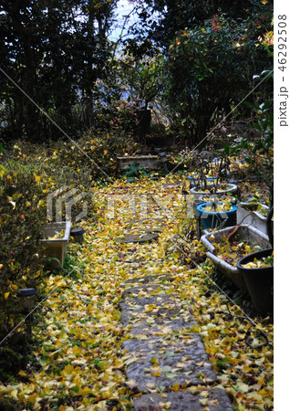 戒長寺 戒長寺 46292508