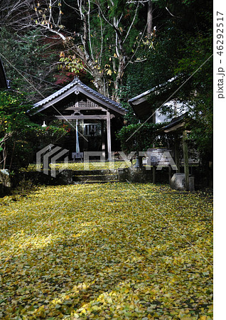 戒長寺 戒長寺 46292517