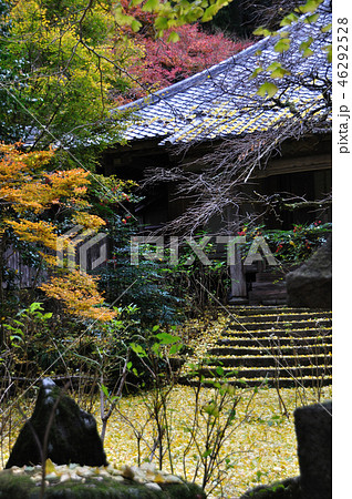 戒長寺 戒長寺 46292528